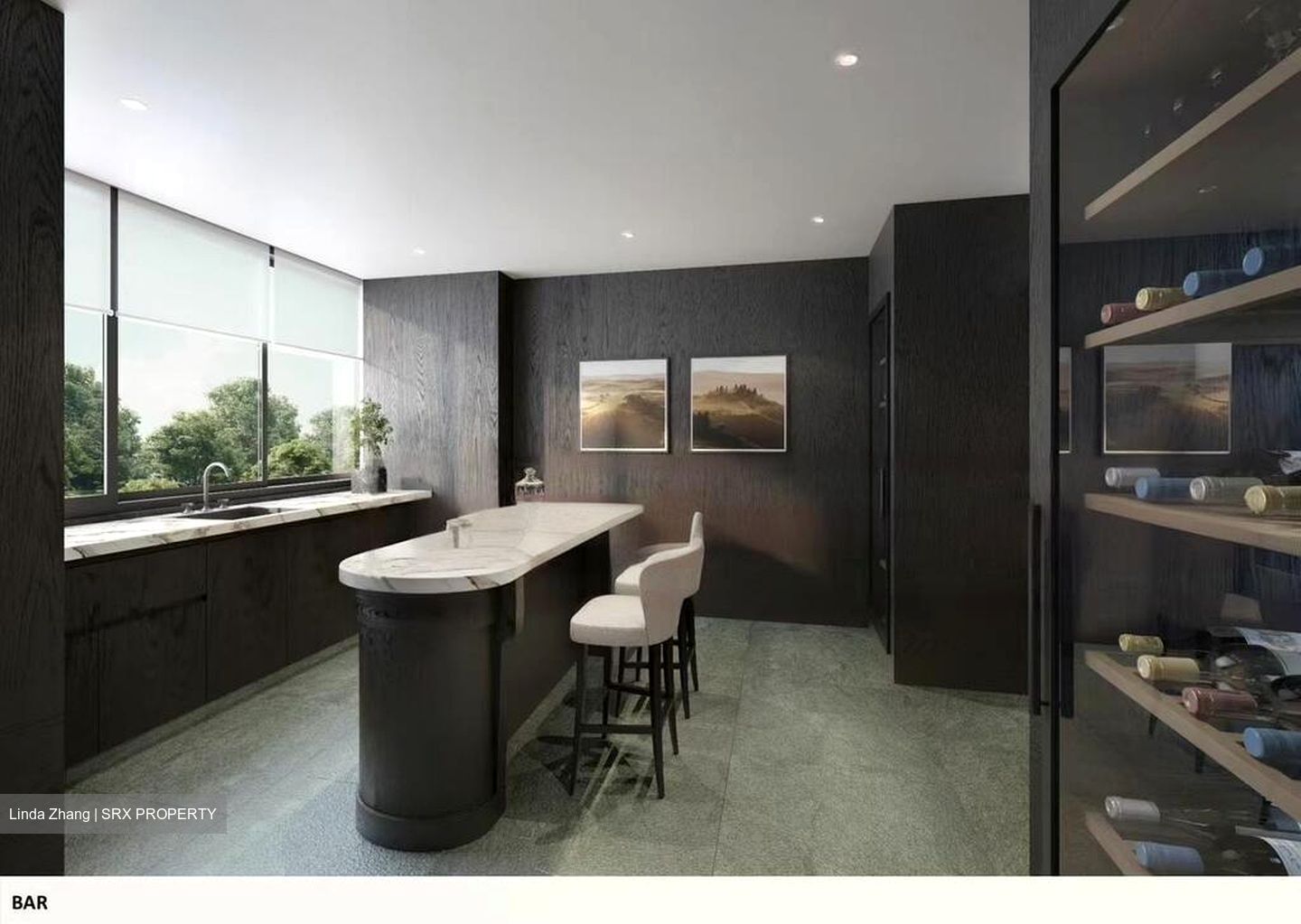 21 Anderson (D10), Condominium #459556051